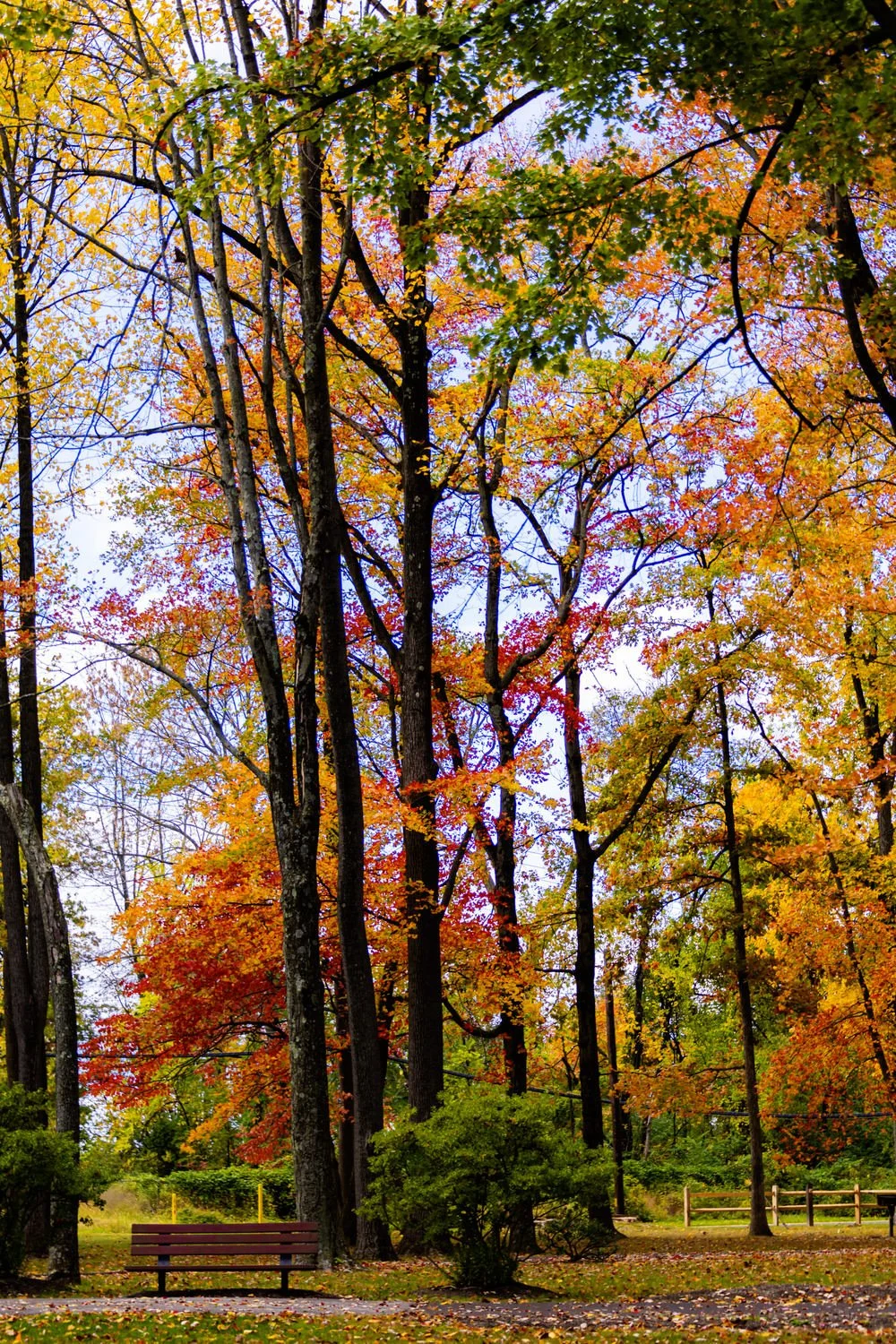 DSC_9434_2.jpg