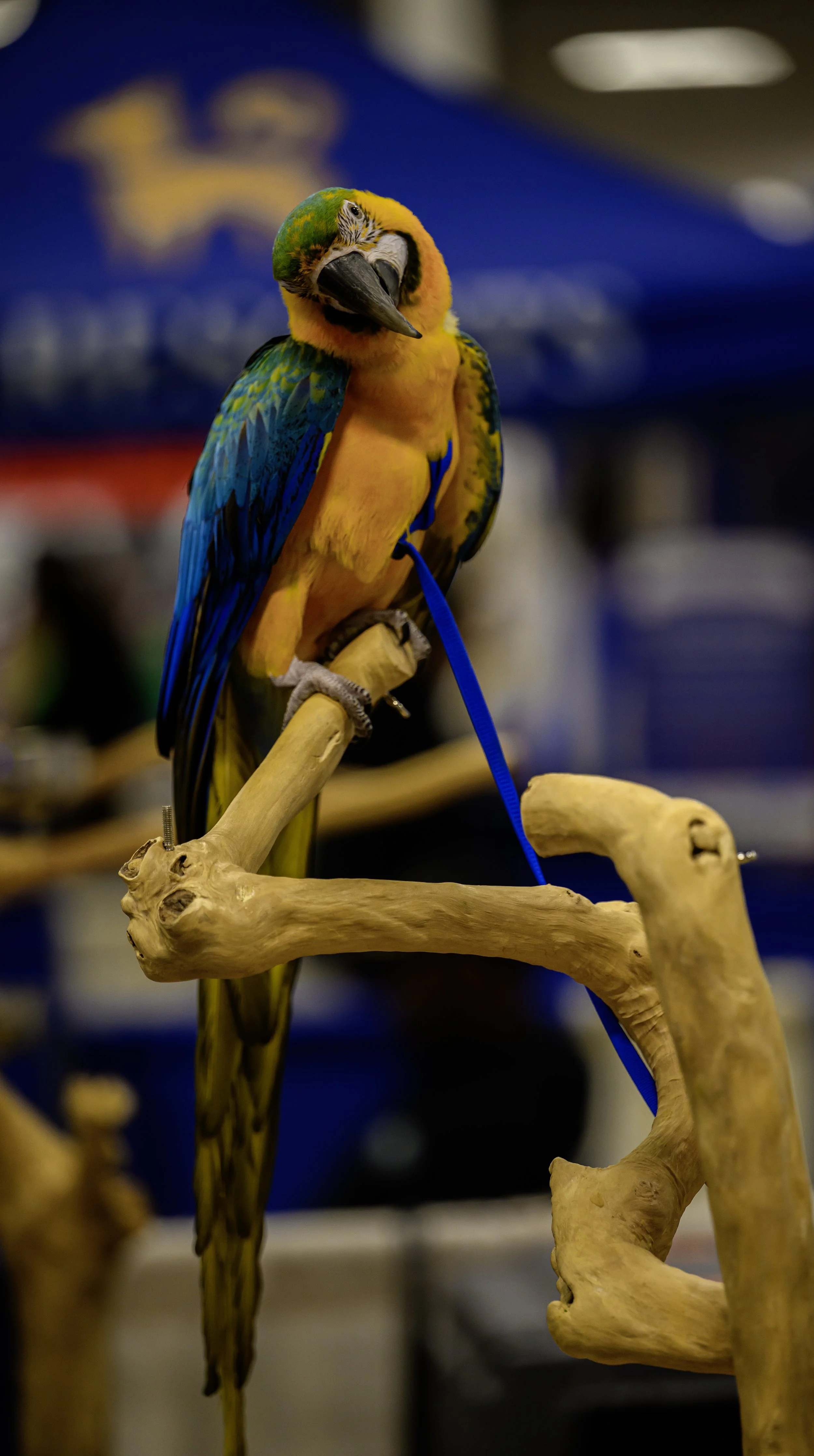 DSC_5648 (2).jpg