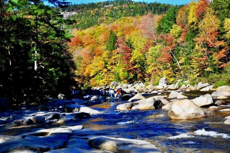 2020-09-25_23-13-07_039 (2).jpeg