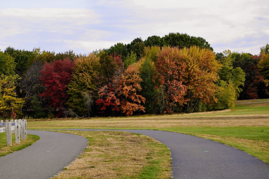 DSC_0083 (2)_1.jpg