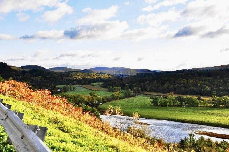 2020-09-25_23-12-44_111 (2).jpeg