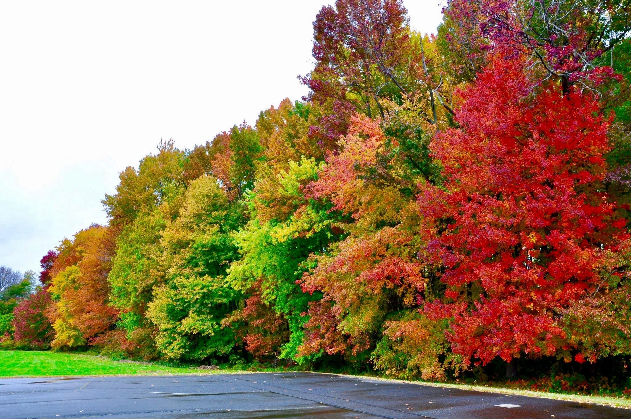 2015-10-25_09-58-03_000 (2020-09-28T01_15_29.878).jpeg