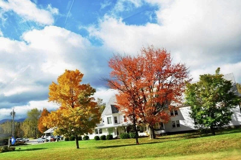 2020-09-25_23-12-46_704 (2).jpeg