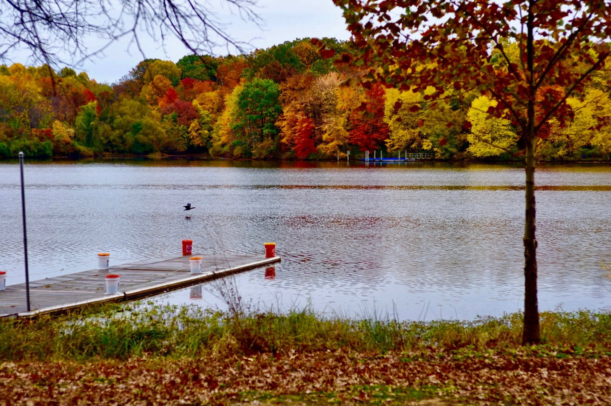 2015-10-25_08-51-33_000 (2020-09-28T01_15_28.960).jpeg