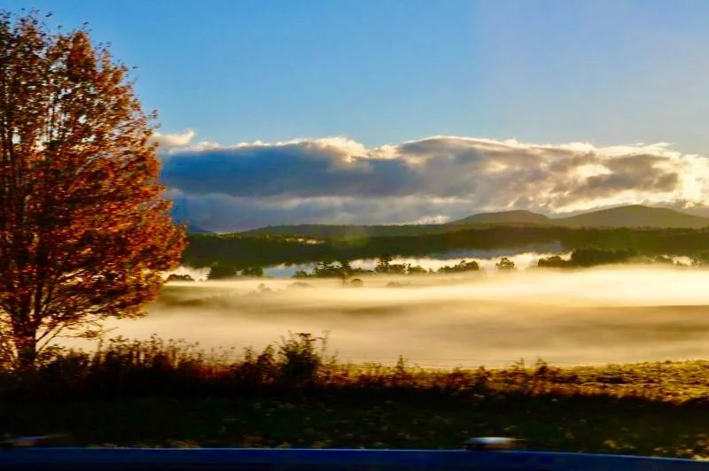 2020-09-27_20-27-09_444 (2).jpeg