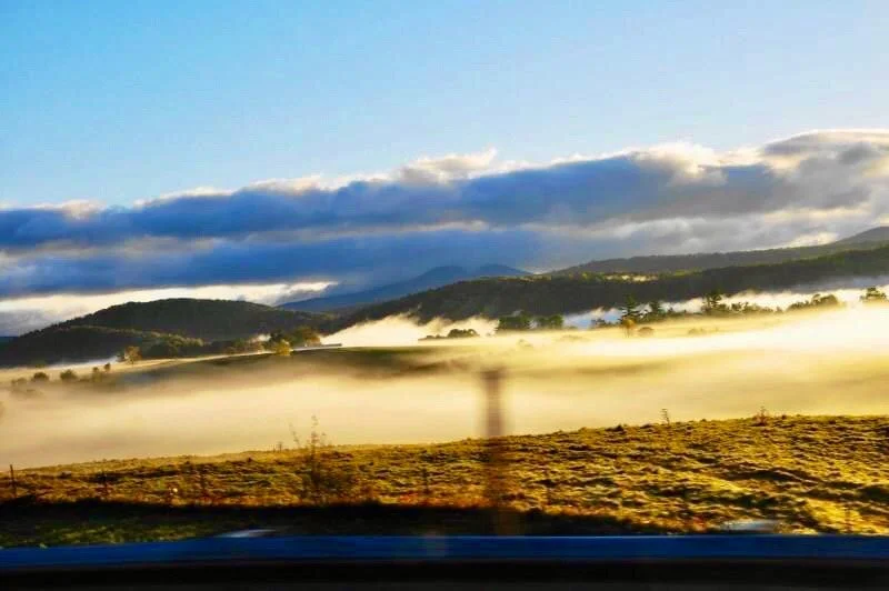 2020-09-27_20-27-27_000 (2).jpeg