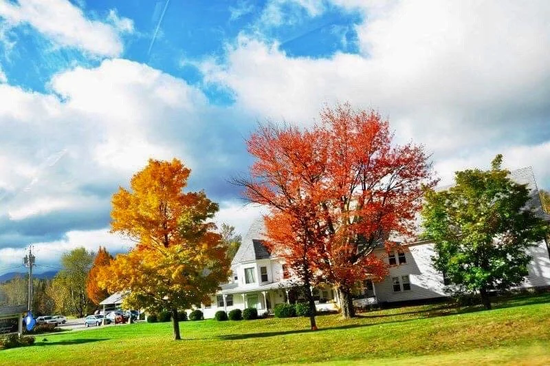 2020-09-27_20-27-55_889 (2).jpeg