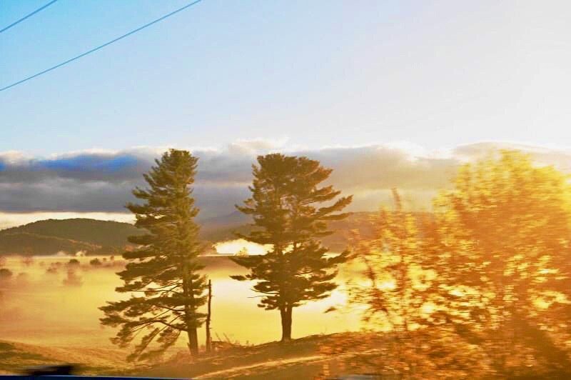 2020-09-27_20-27-13_478 (2).jpeg