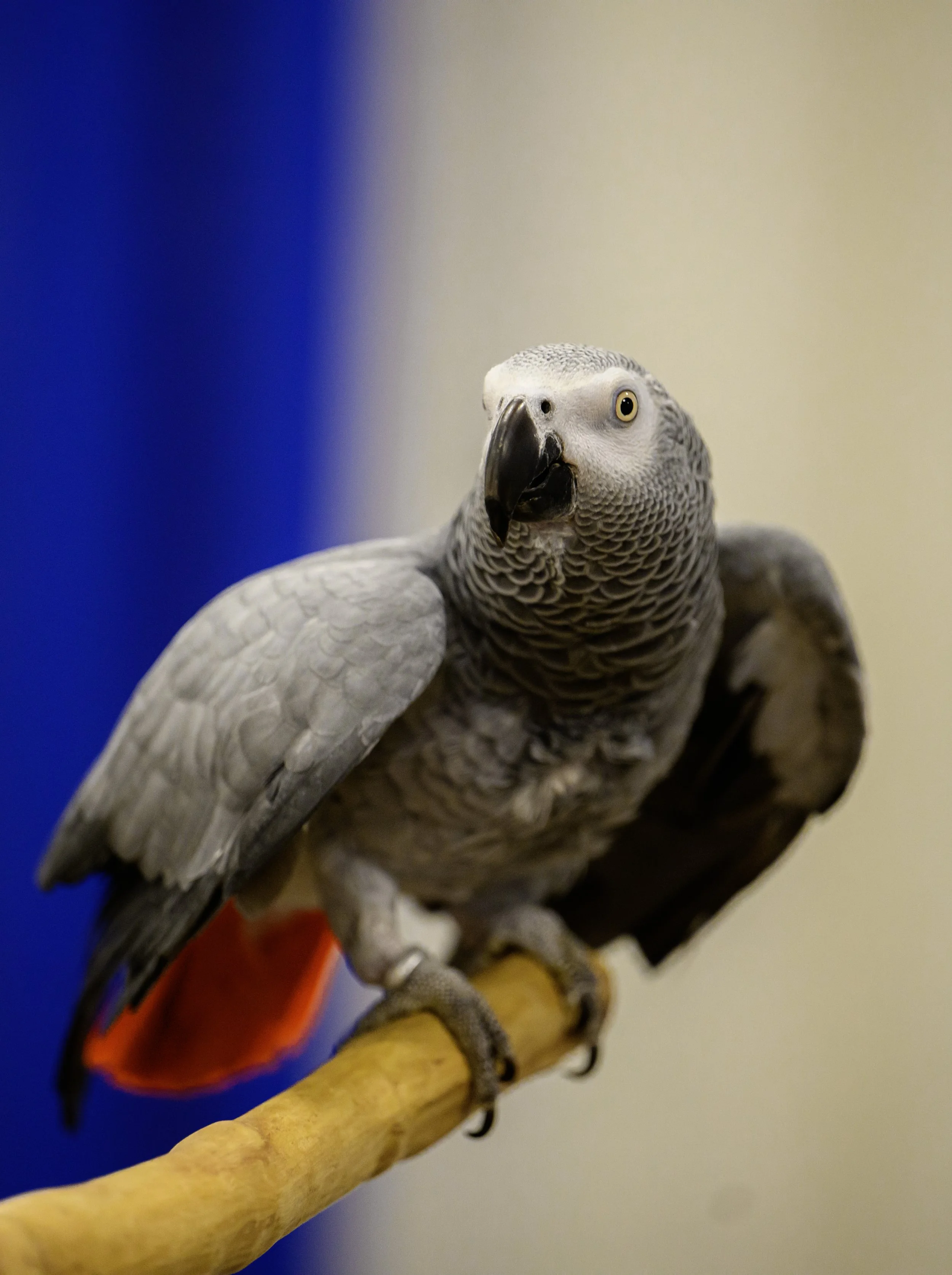 DSC_6058 (2).jpg