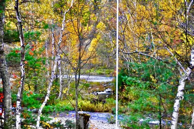 2020-09-25_23-12-49_865 (2).jpeg