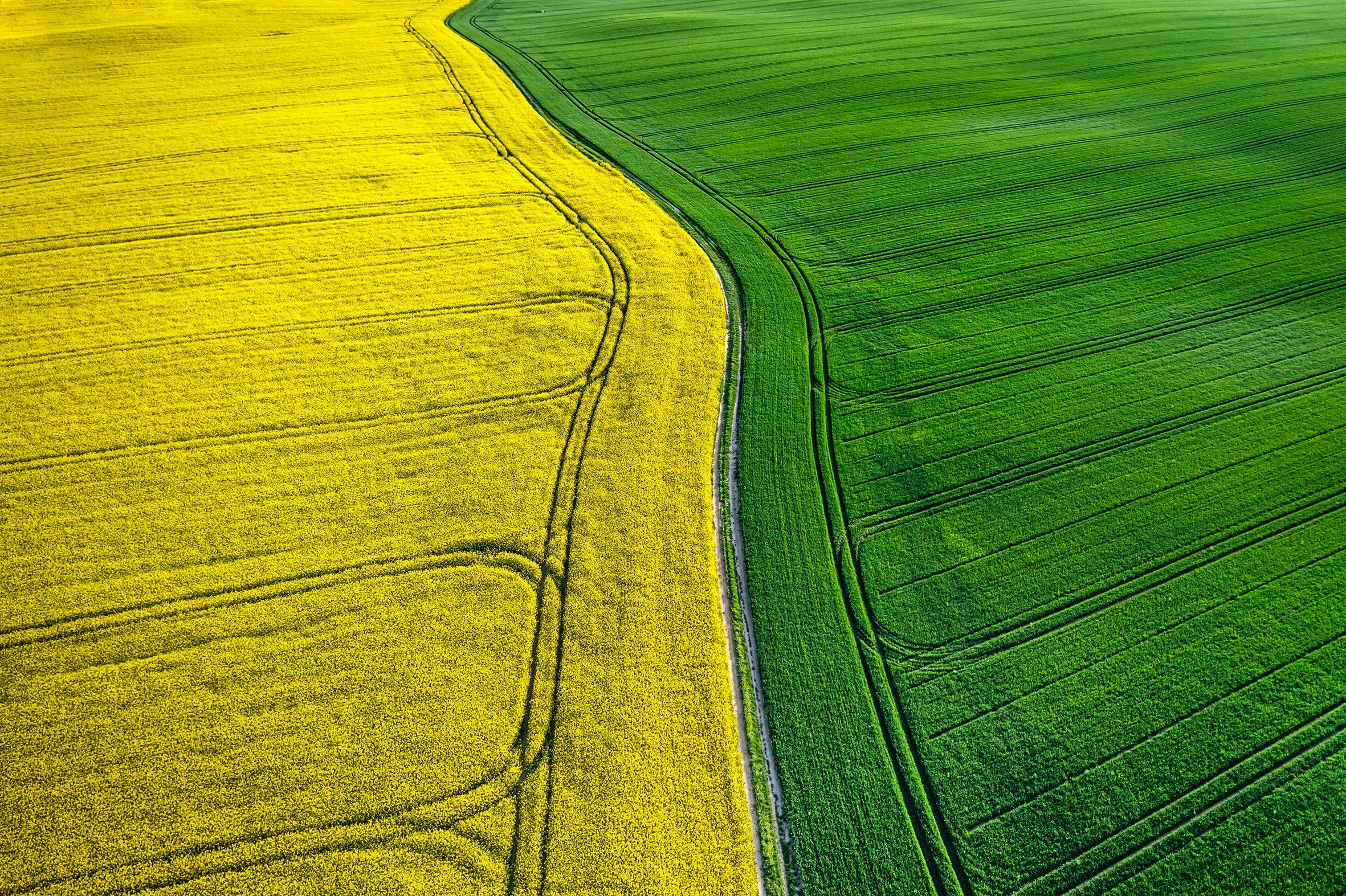 Fields Apart