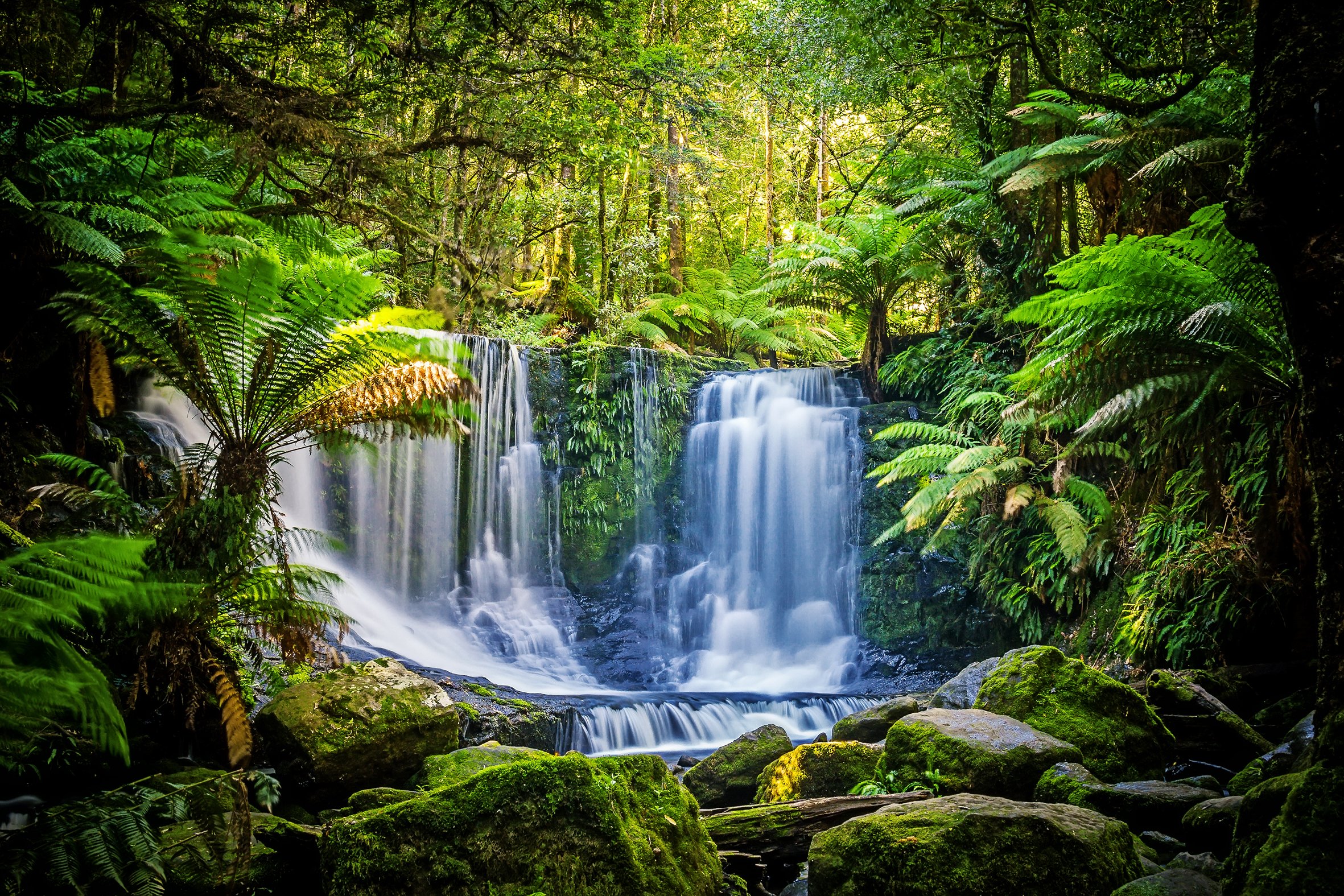Cascade of Verdant Dreams
