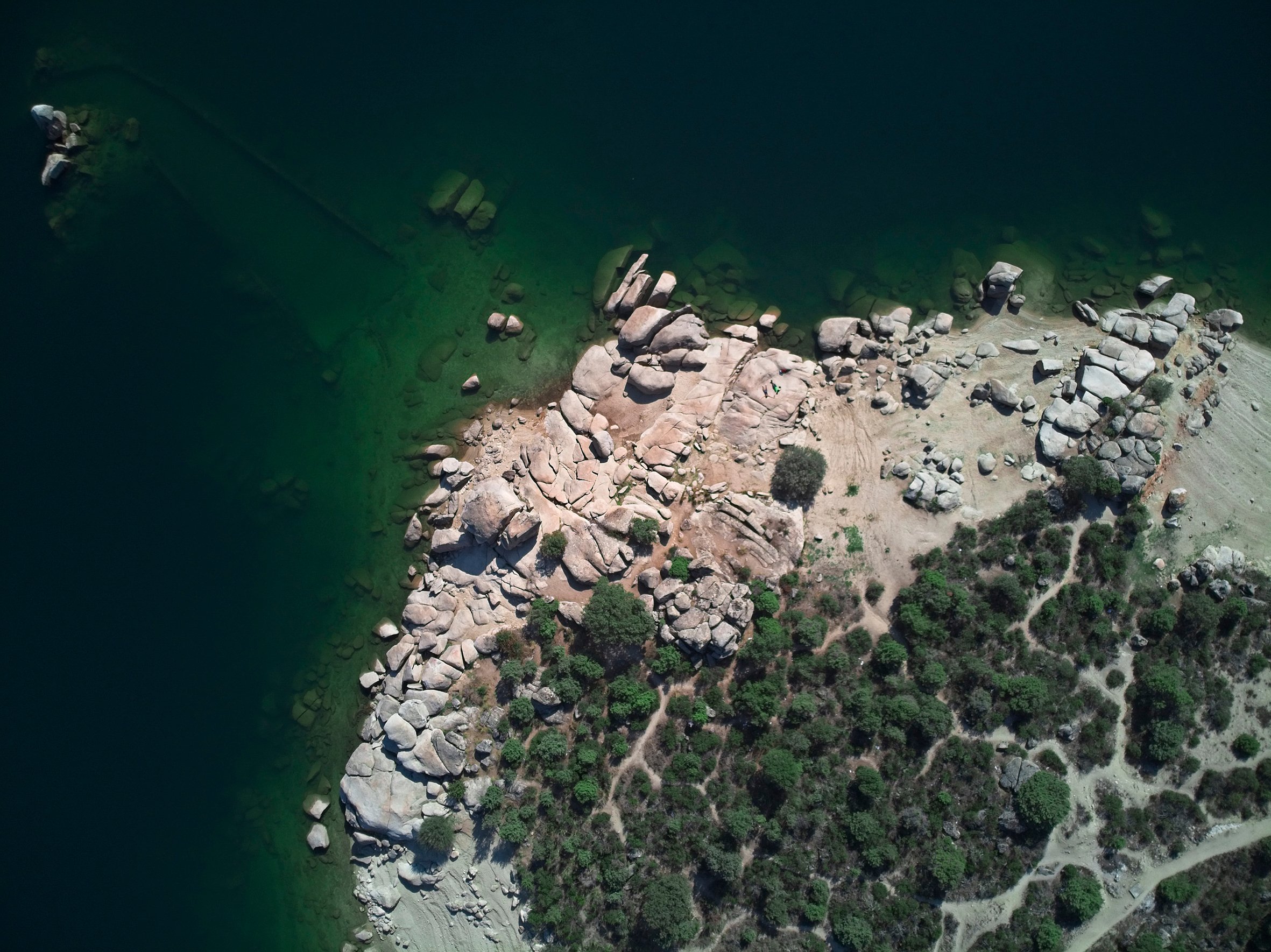 Shoreline Solitude