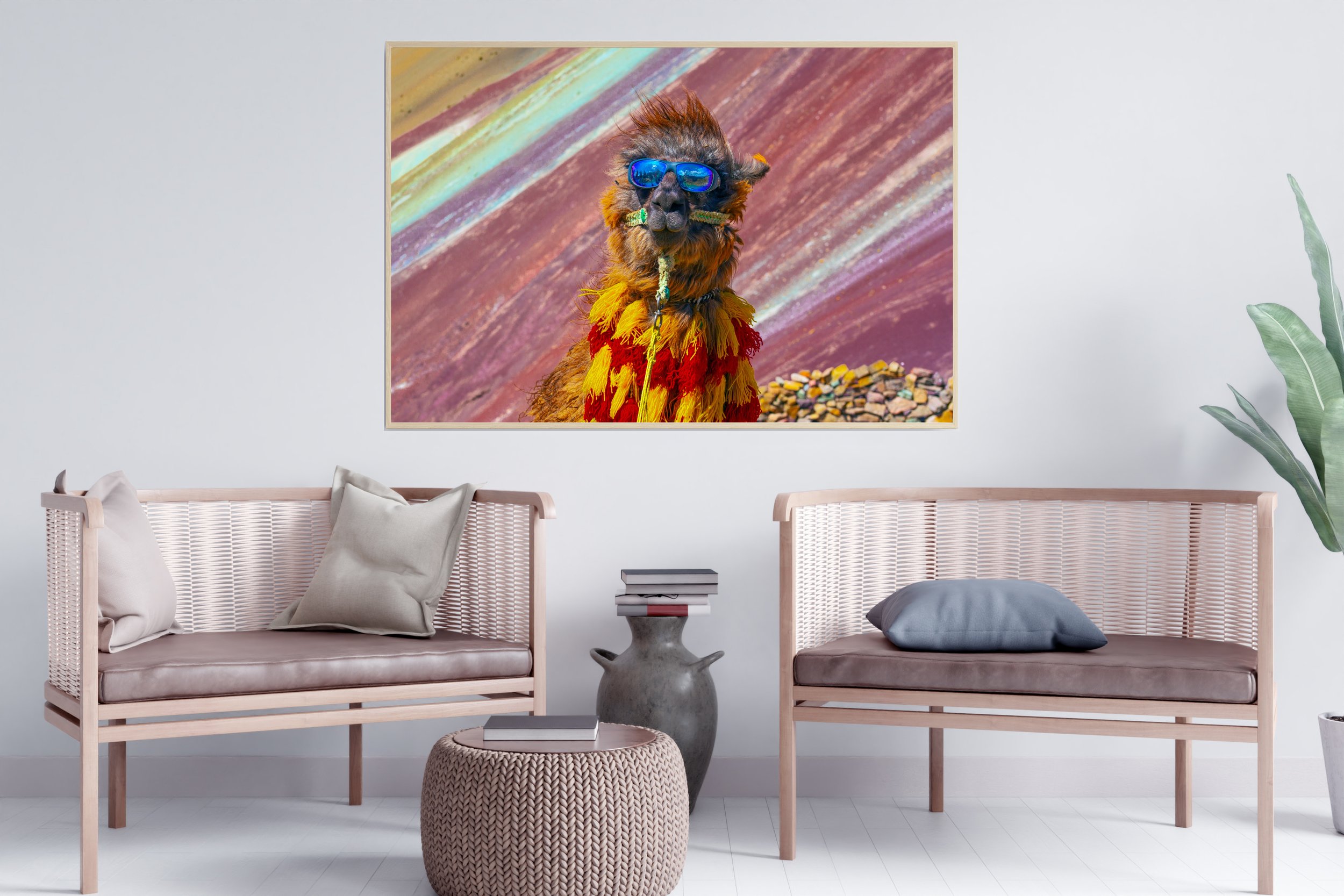 No Prob-lama.jpg