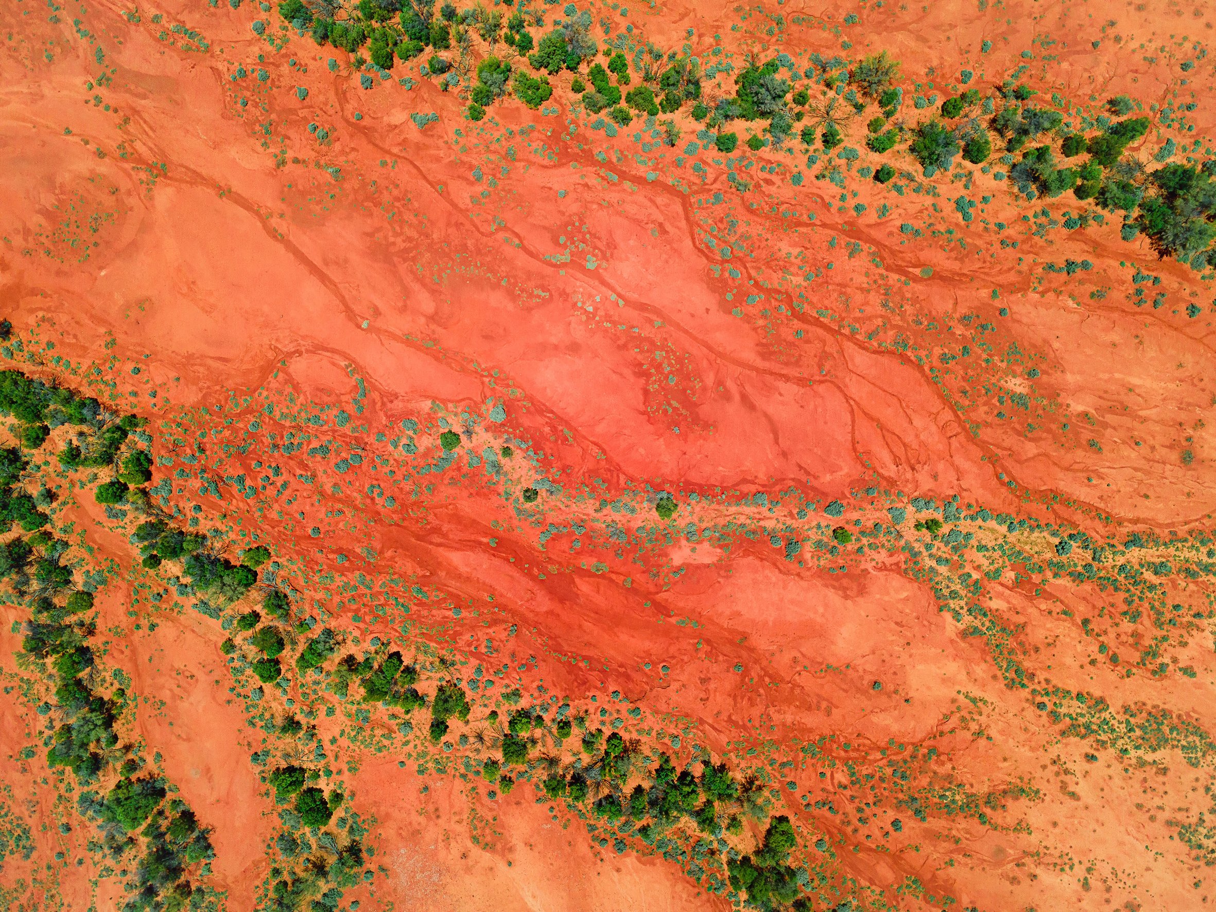Stories in the Red Soil