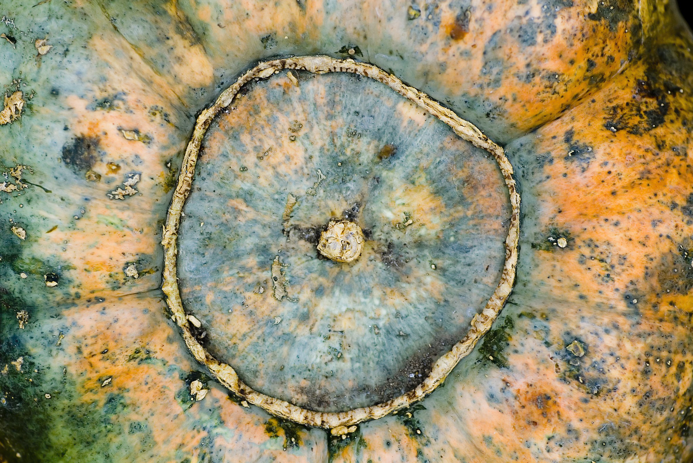 Earthen Eye