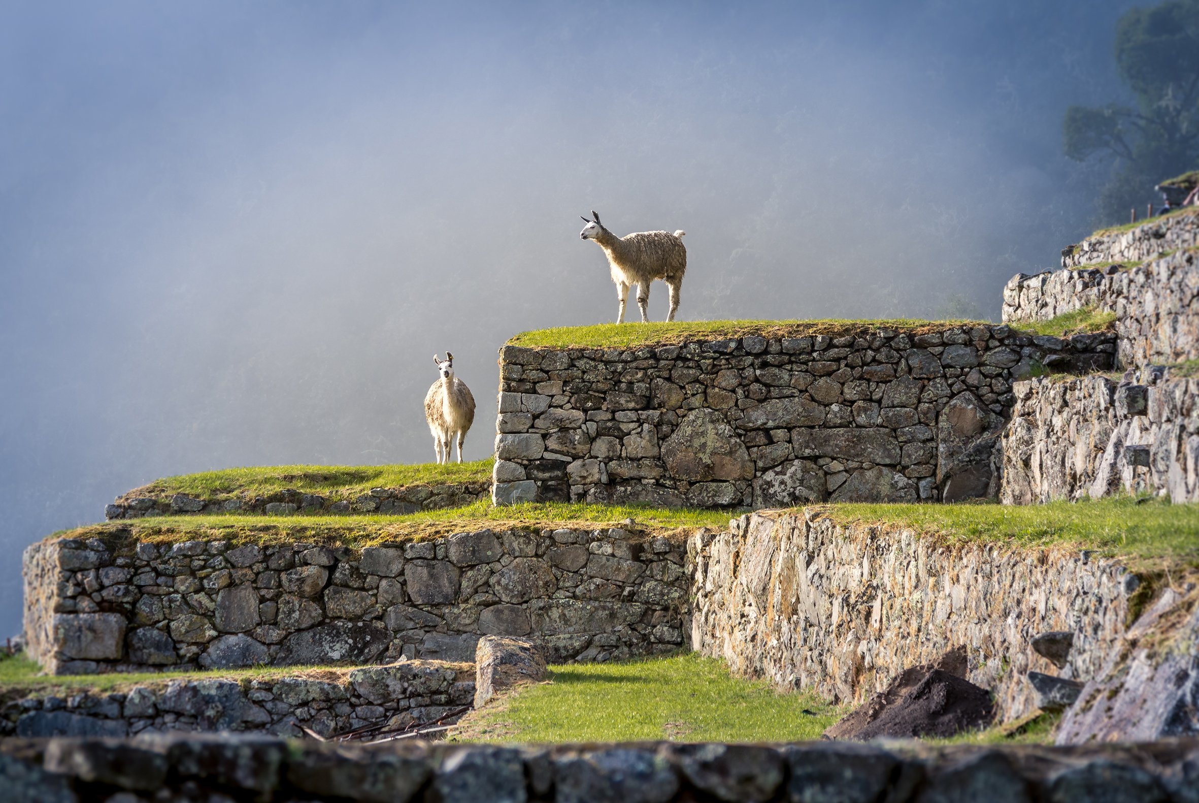 Echoes of the Inca