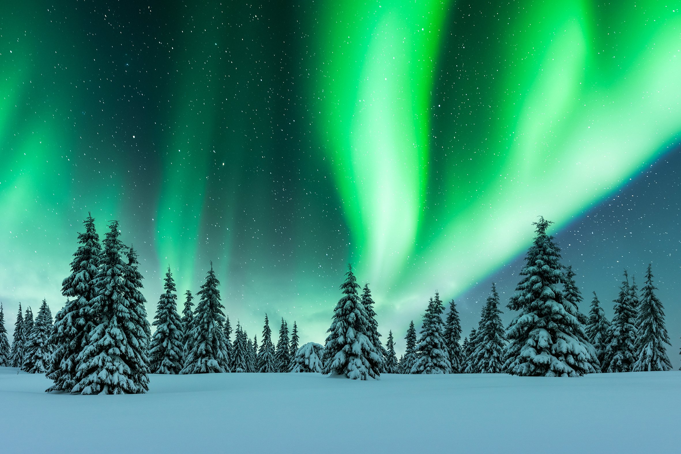 Evergreen Skies