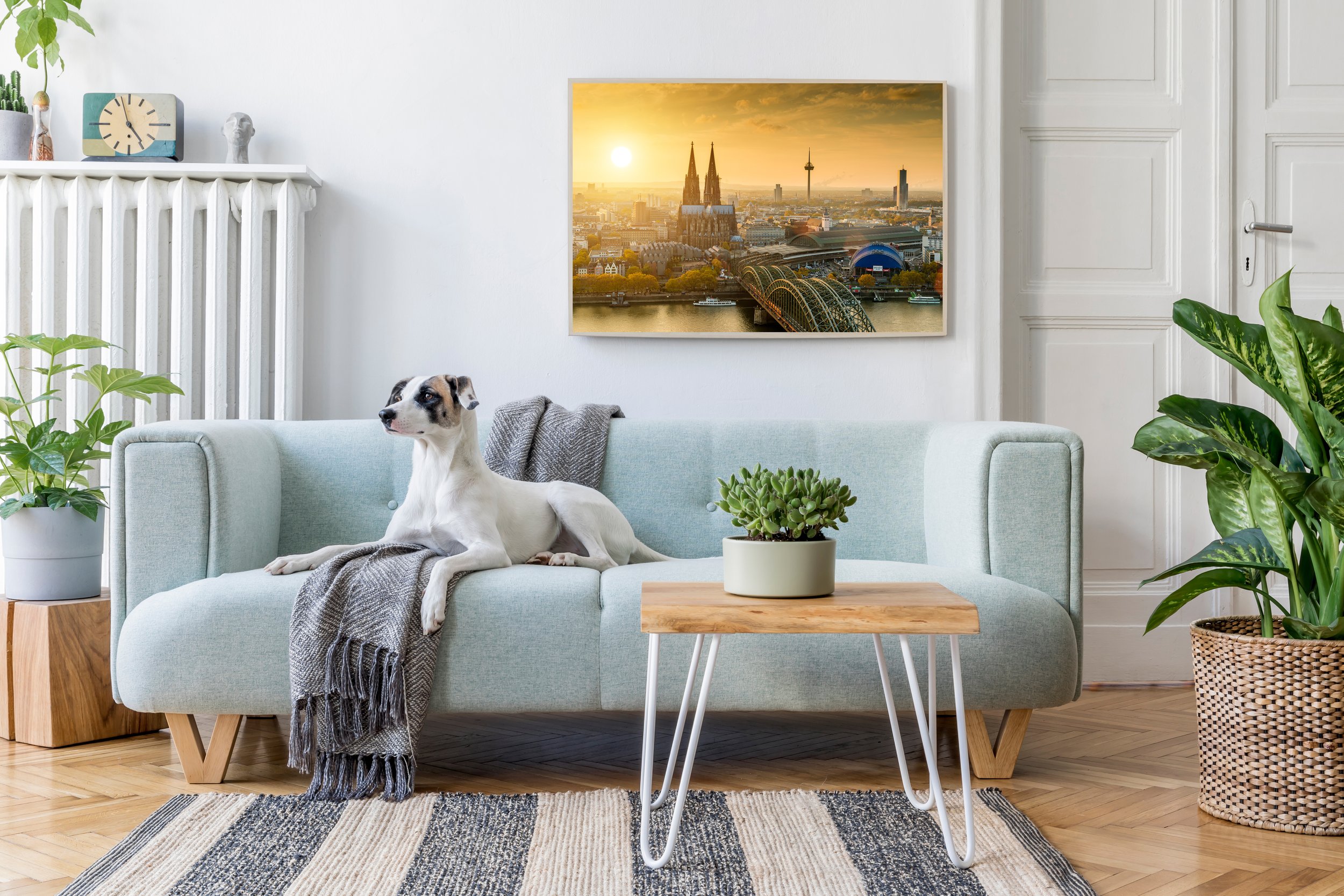 Sunrise Over Cologne.jpg