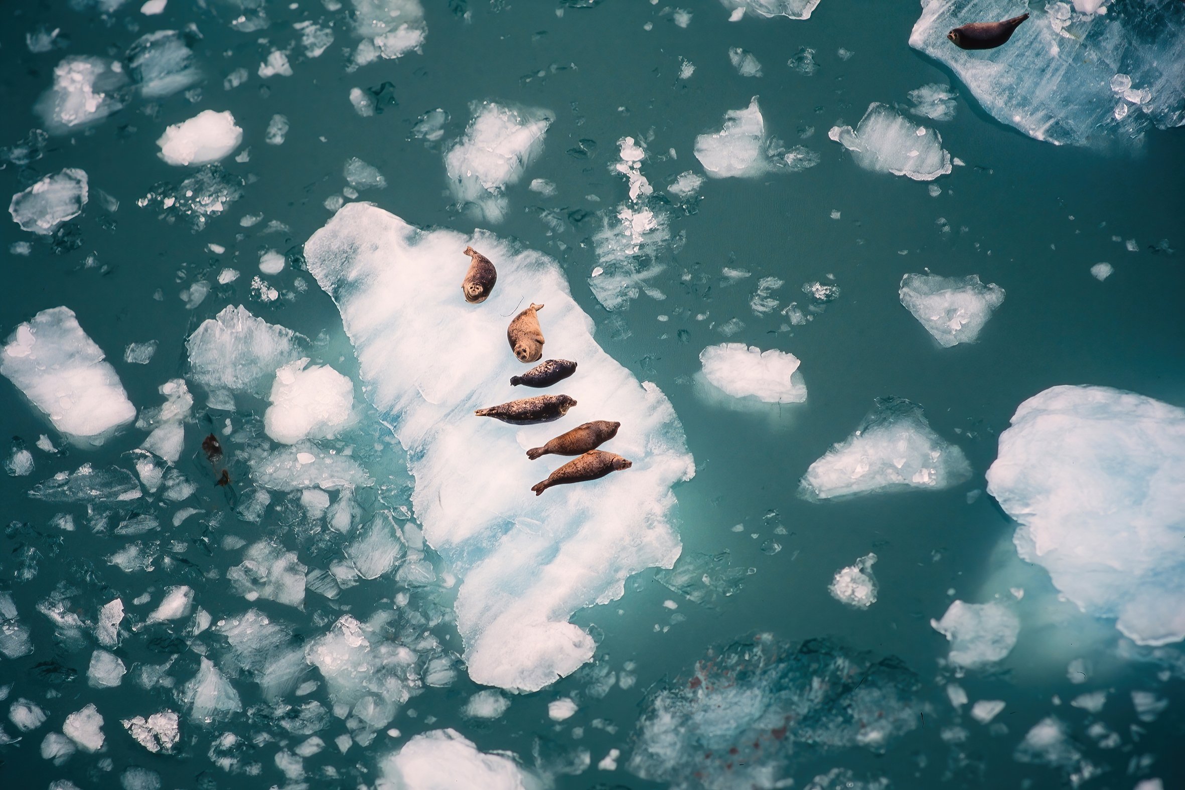 On Borrowed Ice