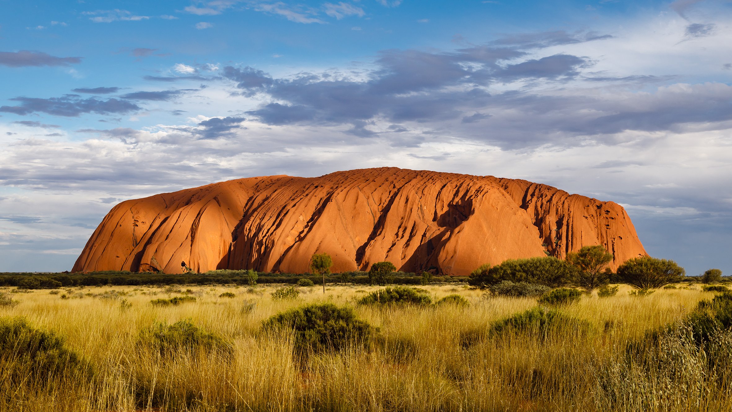 Outback Majesty