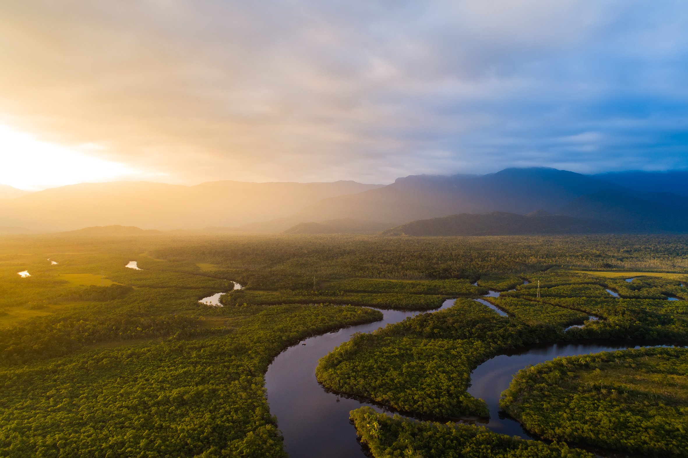 Dawn Over Daintree
