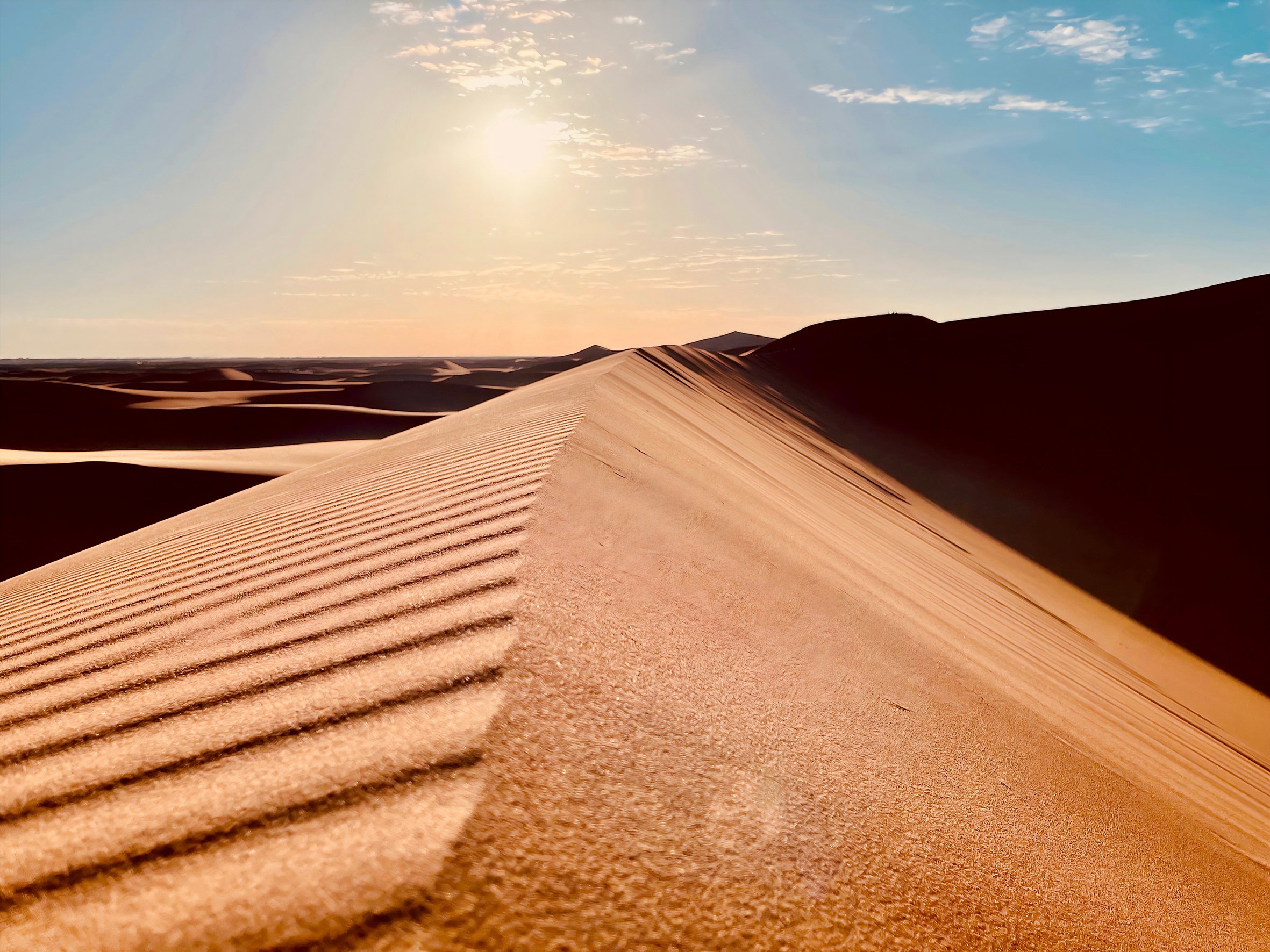 Dune's Embrace