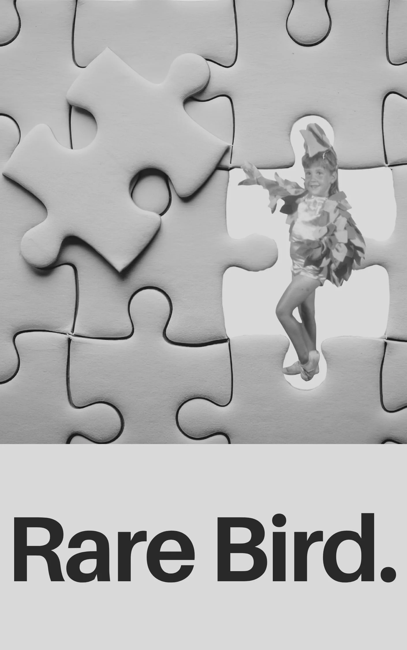 Rare Bird book in development by Jenée Arthur