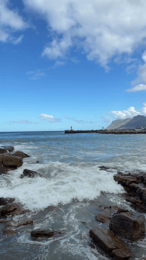 Ocean.gif