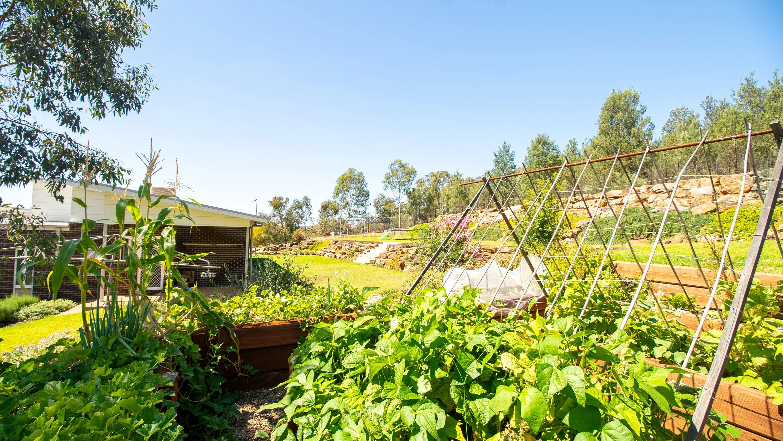 Photo 23-2-2026, 3 51 50 pm.jpg