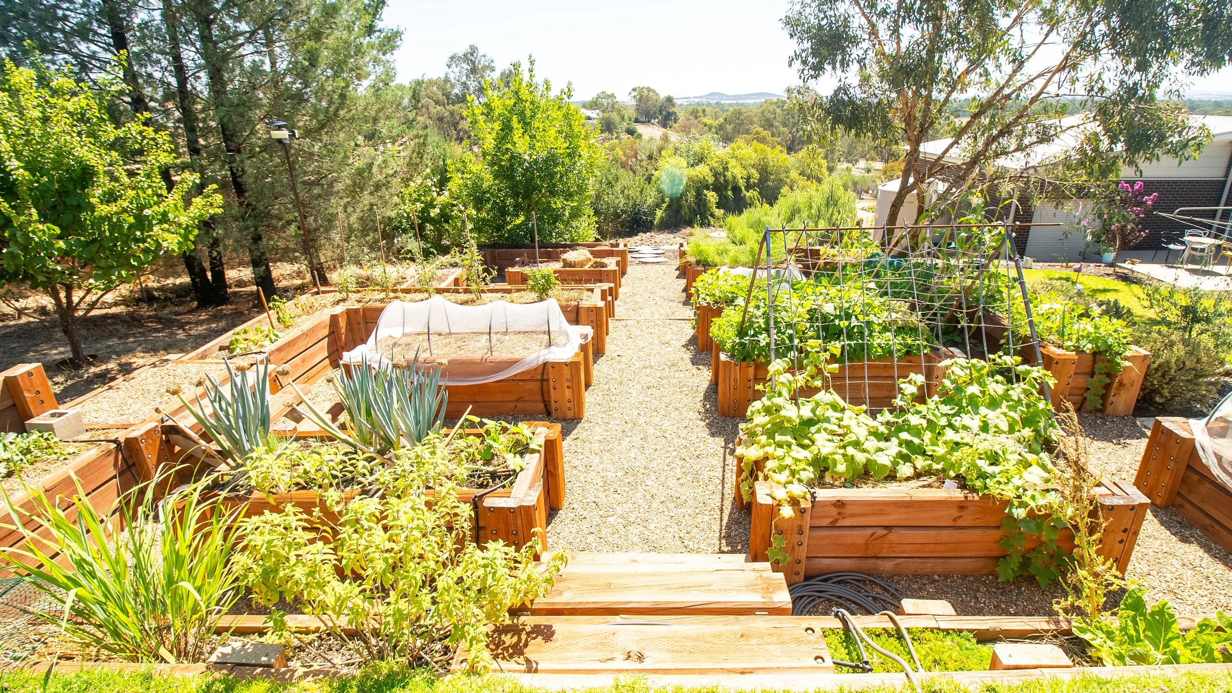 Photo 23-2-2026, 3 52 12 pm.jpg