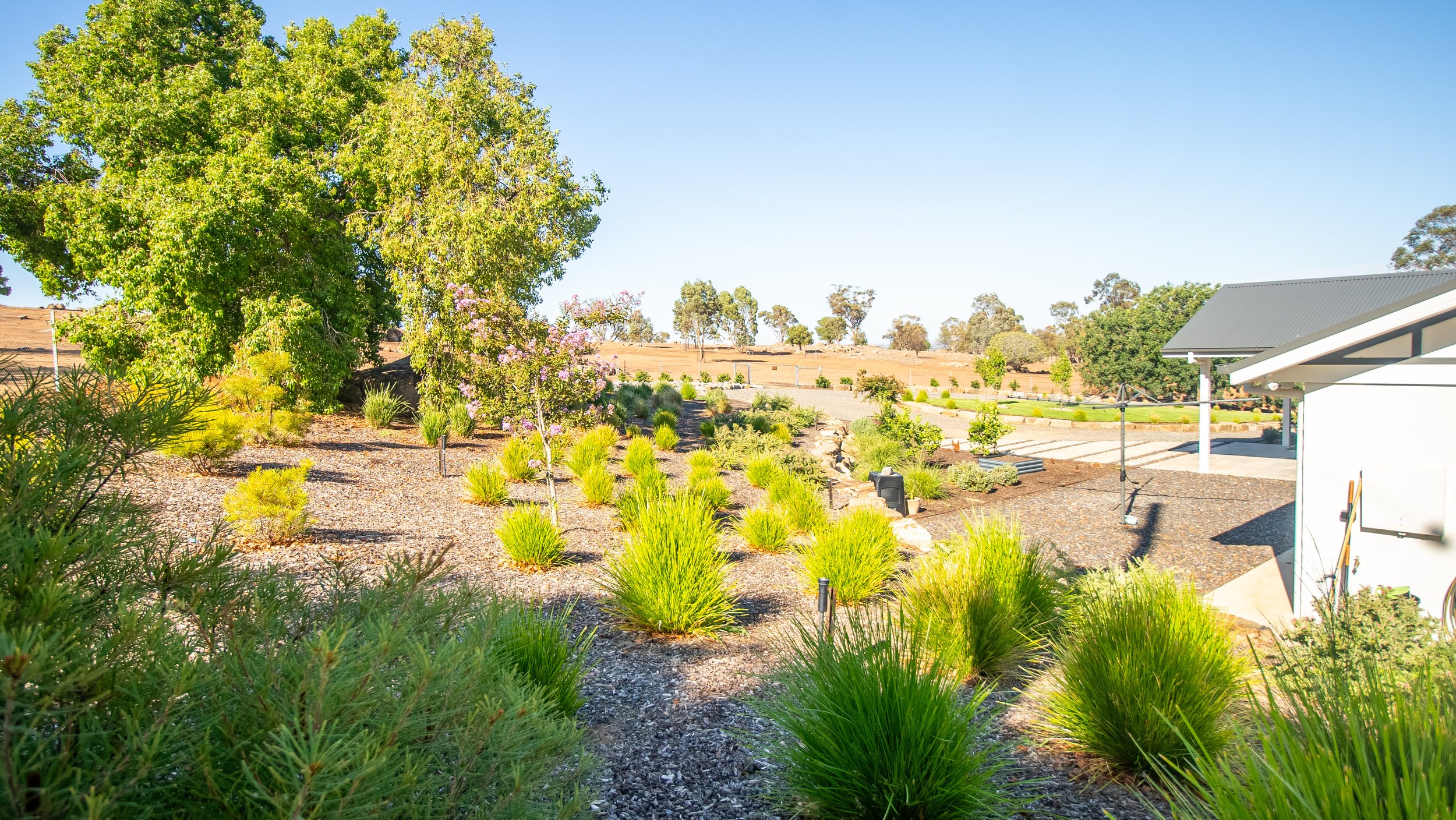 Photo 23-2-2026, 1 49 53 pm.jpg