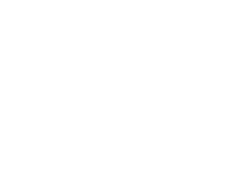 WISE MARKETING - Social Media Marketing Agency