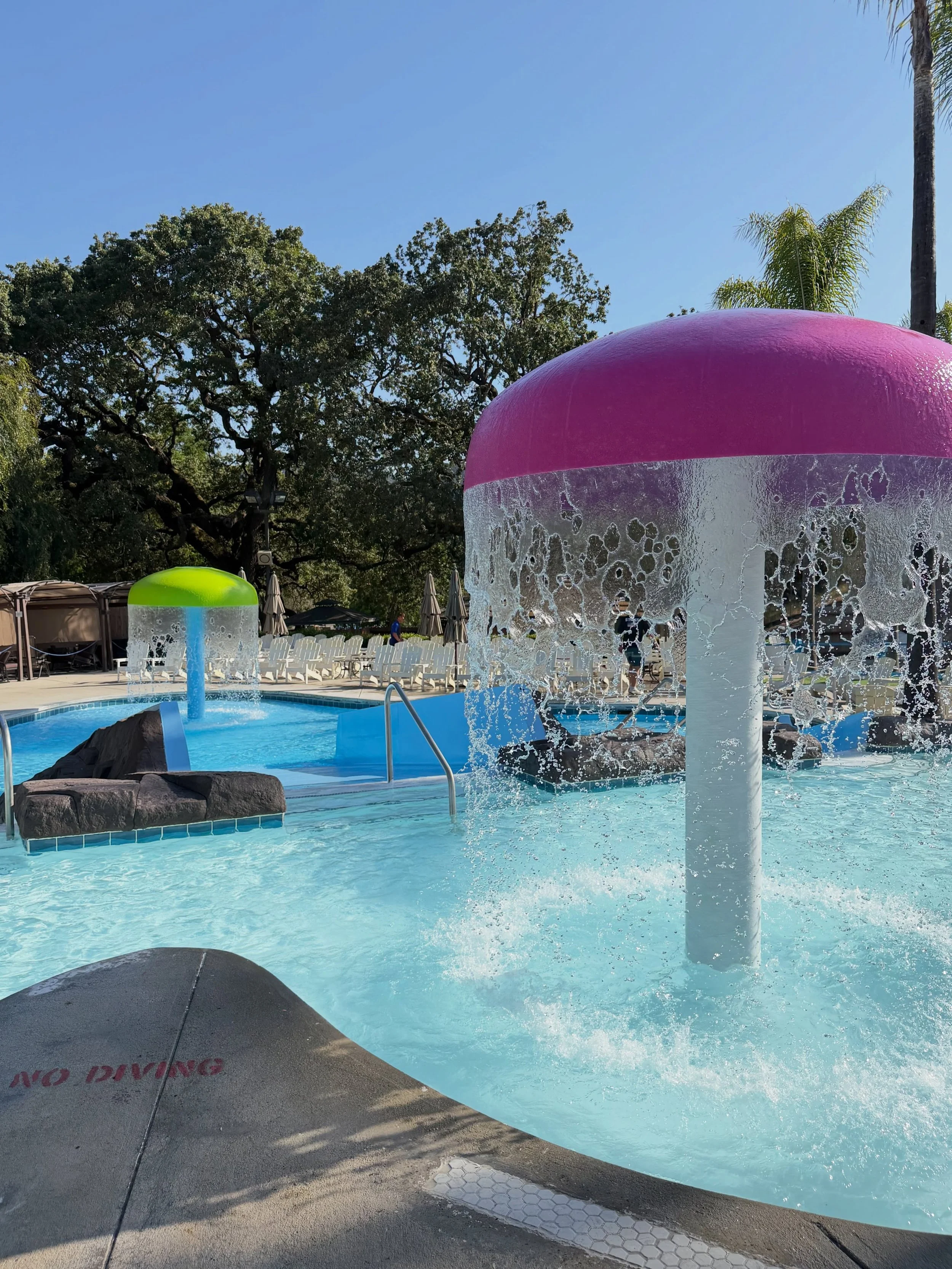 Make sure to buy your 2027 Season Pass &amp; save now!!💛 $95 for a limited time &amp; you can even use it these last two weekends we&rsquo;re open, plus all summer next year!

Share this with your waterpark besties!

#mustangwaterpark #waterpark #se