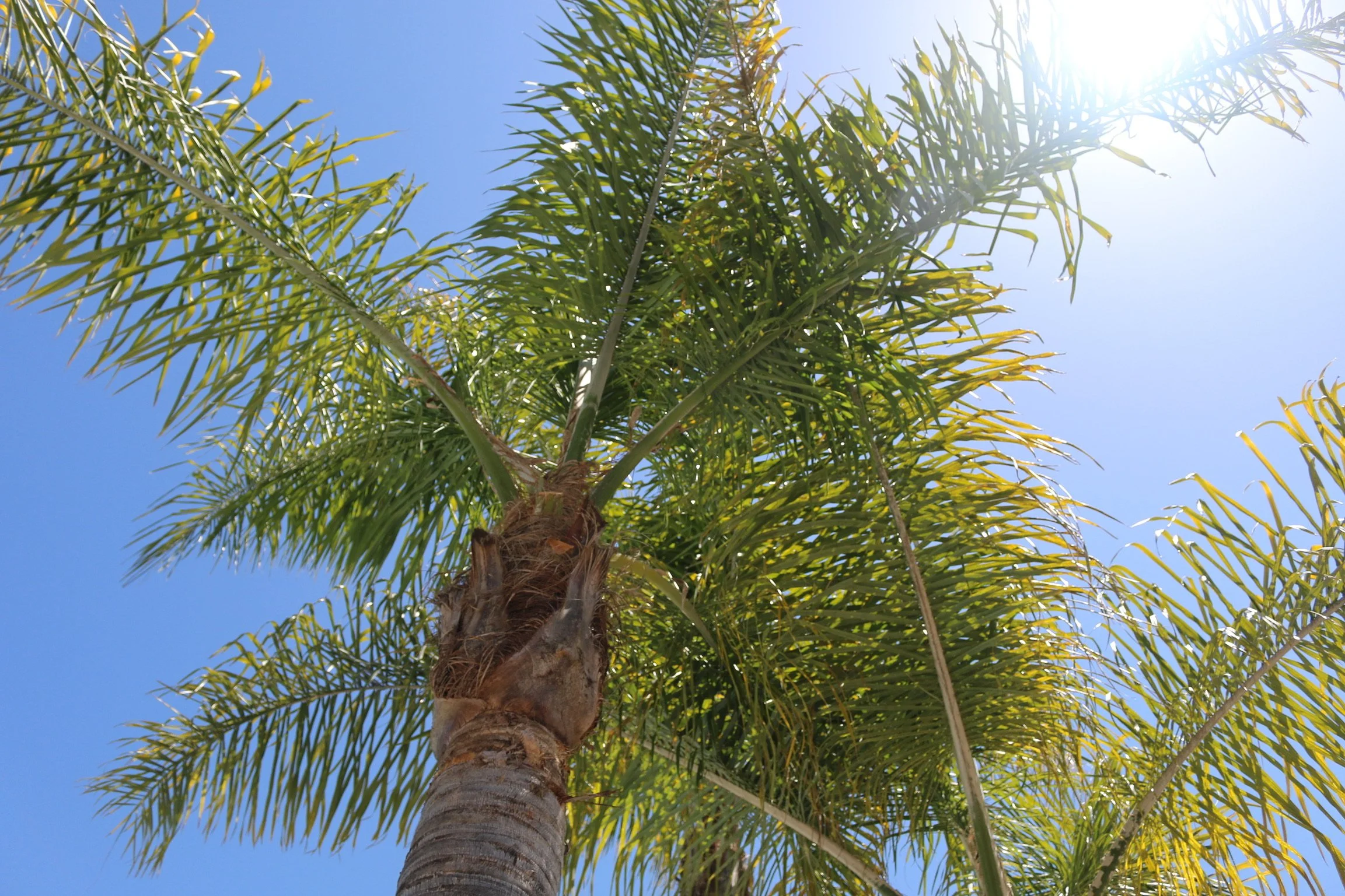 Contact | Plan Your Visit Today — Mustang Waterpark