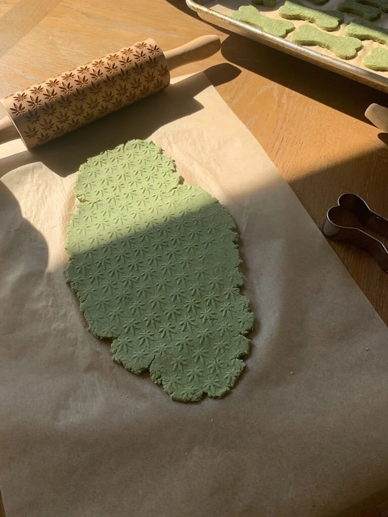 My Dog Got Into the Chocolate! — Rosies Confections