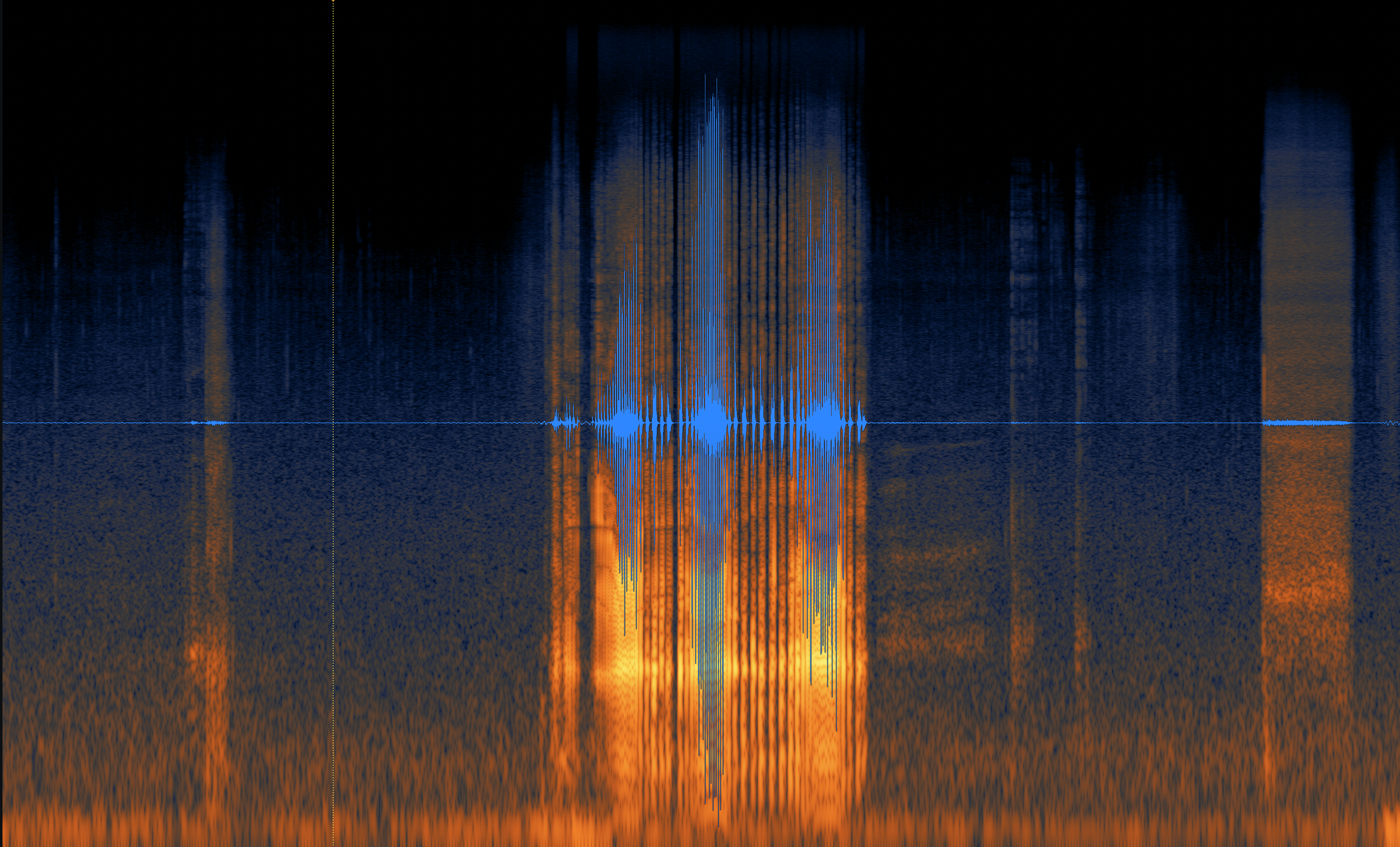 An iZotope RX spectrogram showing a southern elephant seal vocalisation approximately 50 dB above the surrounding noise floor.