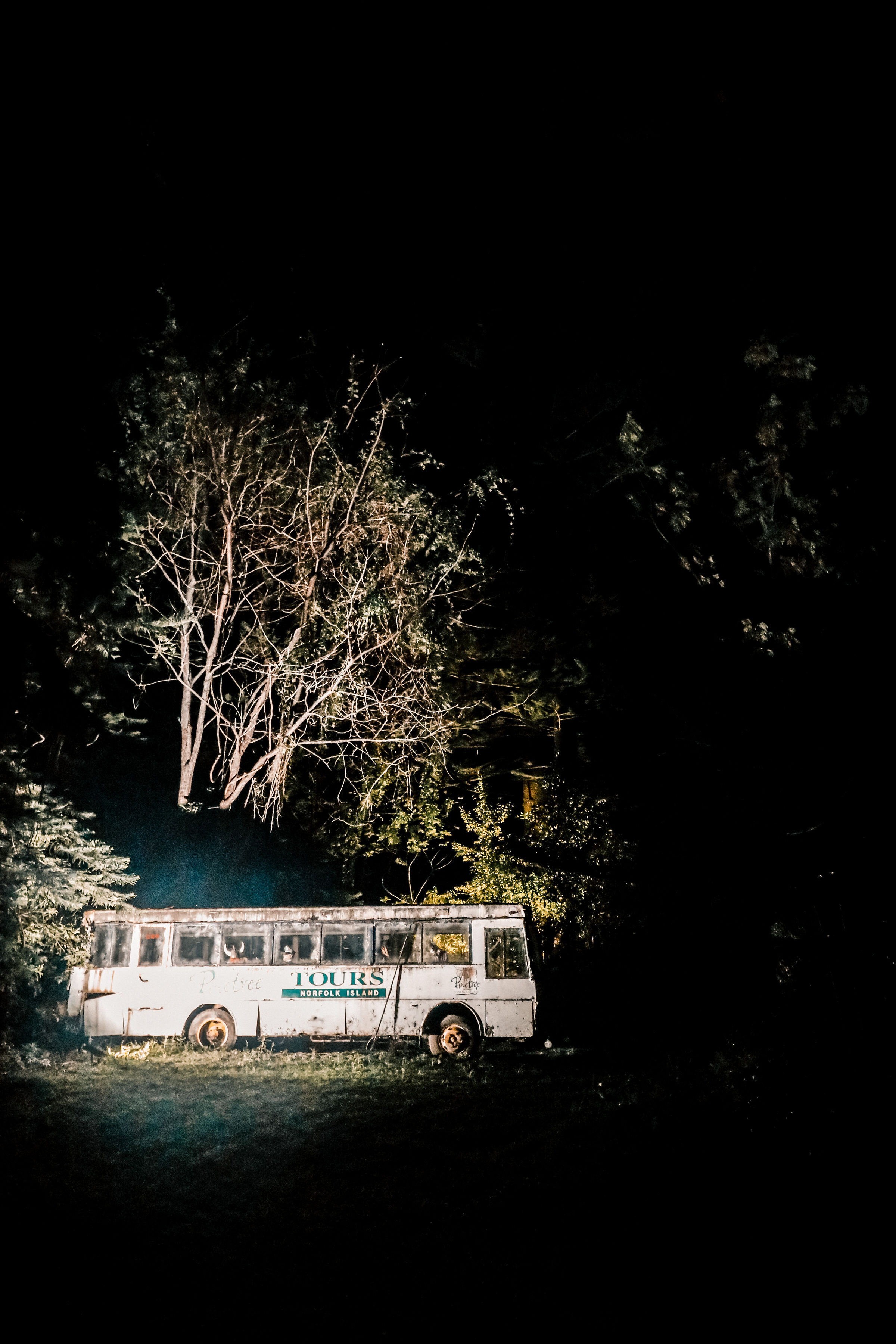Wonderland by Night Pinetree Tours Norfolk Island