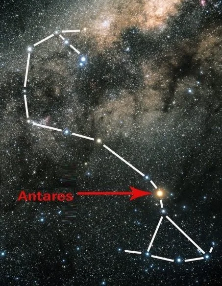 Scorpio with Antares.jpg