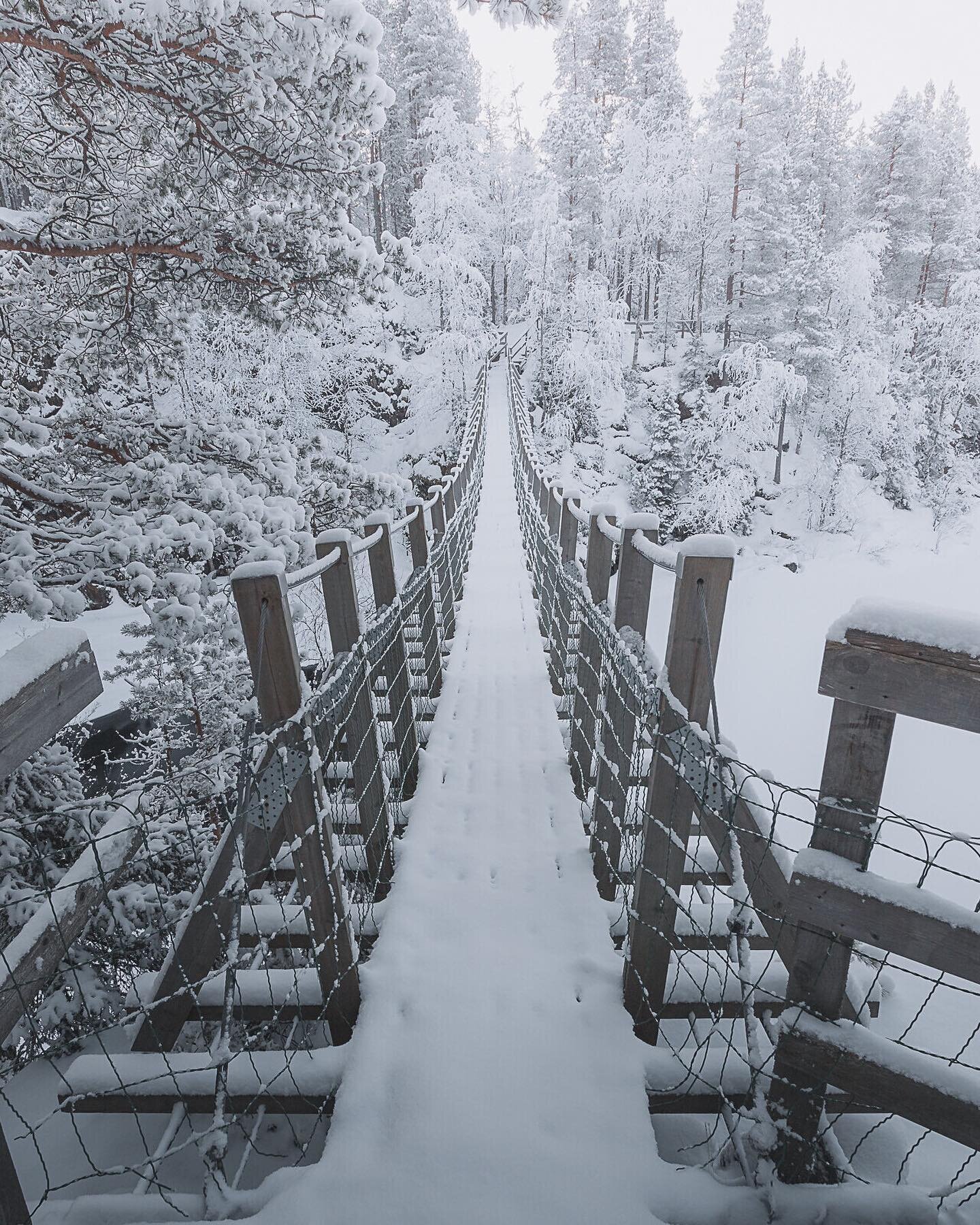 Still remember winter? Trekking across Kuusamo region in Finland, exploring the suspended bridges and wild rapids in minus 30 degrees celsius sure is a blast.

It&rsquo;s still nice the summer is coming though 😆