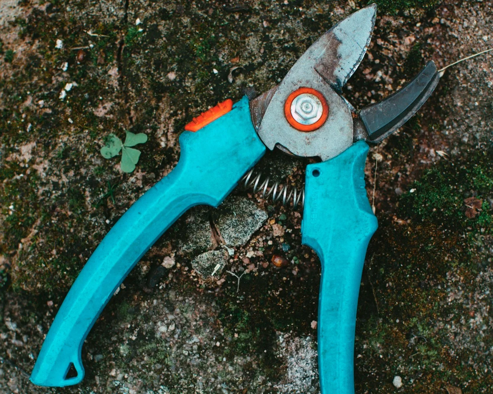 Aféirung an de secher an nohaltegen Ëmgang vu Gaardegeschier a -Maschinnen