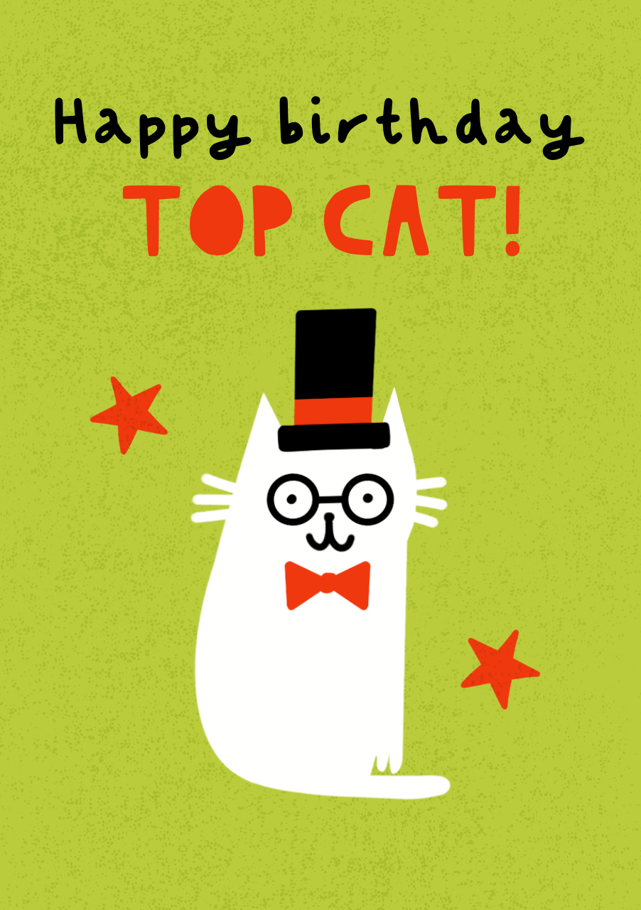 Top Cat.PNG