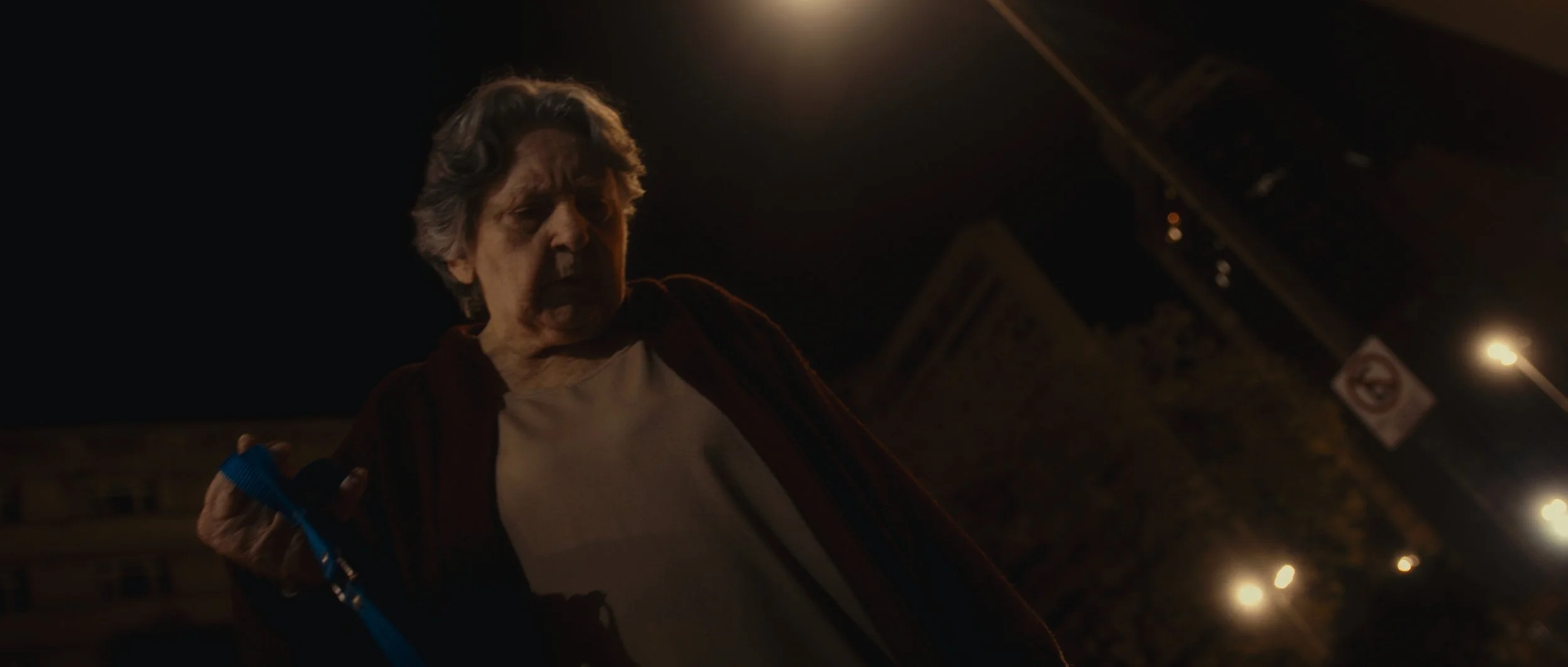 A woman with gray hair, wearing a beige shirt and red cardigan, looks down in a dark street at night, holding a blue leash. City streetlights and buildings are visible in the background.
