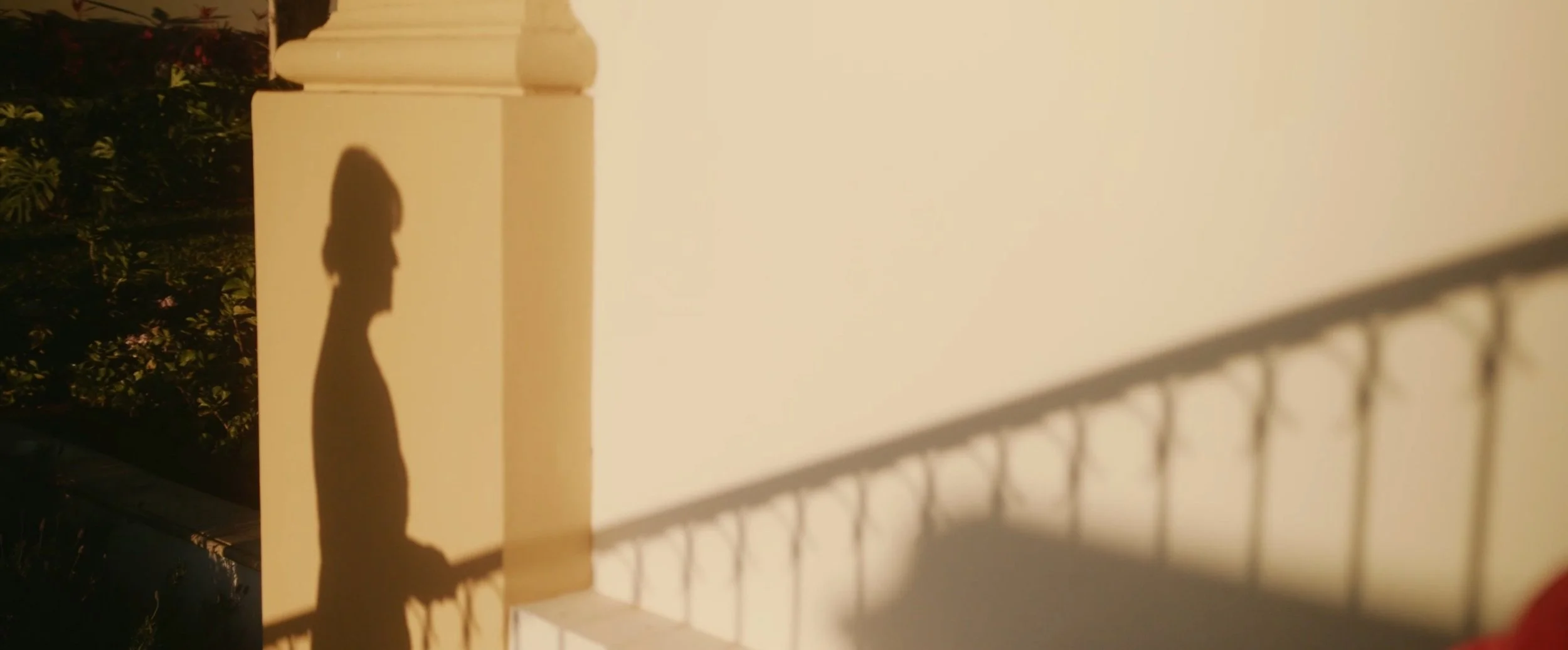Shadow of a person on a wall, with a railing and plants nearby