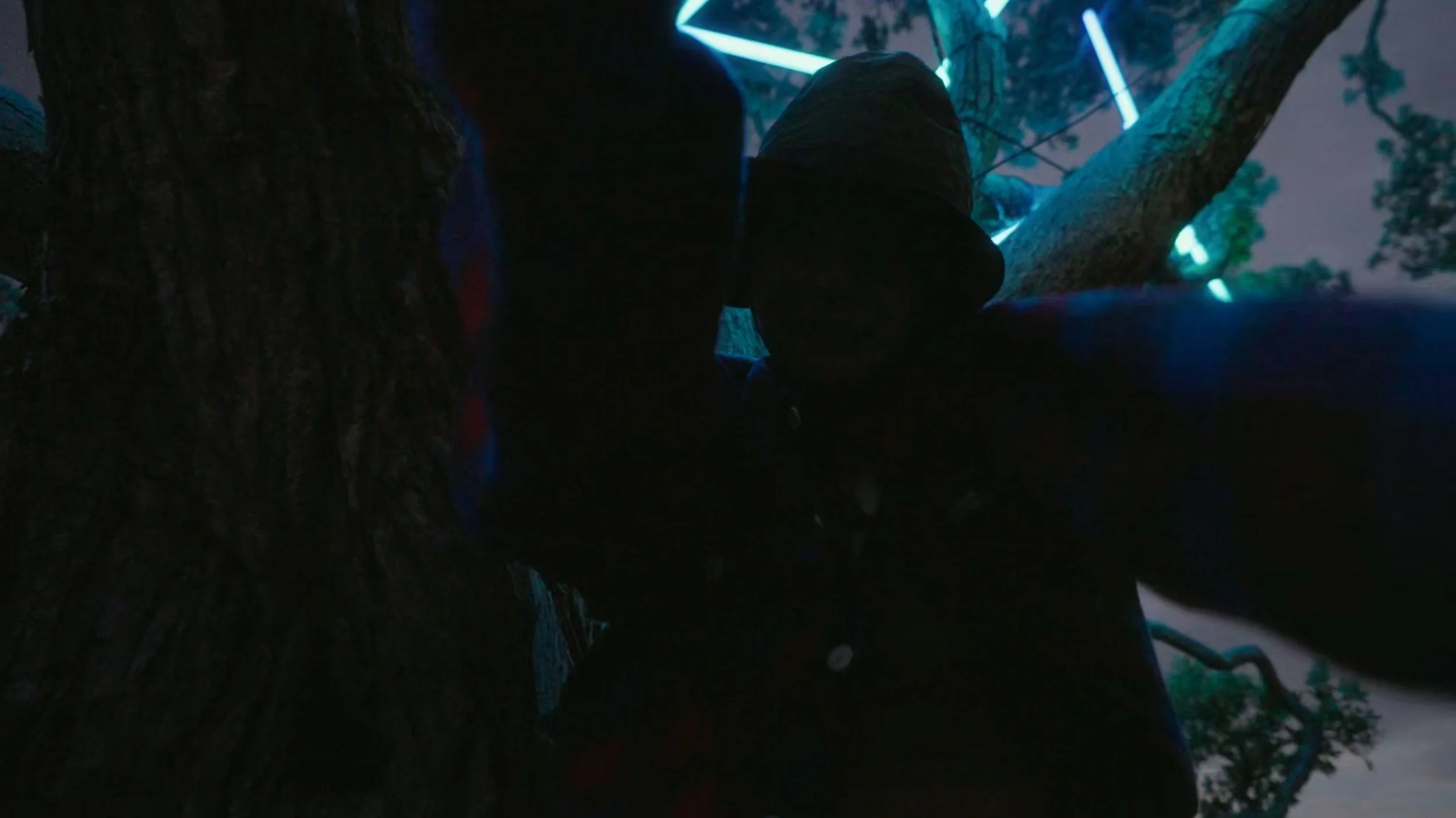 Silhouette of children in a tree with glowing neon blue lights in the background during dusk or night.