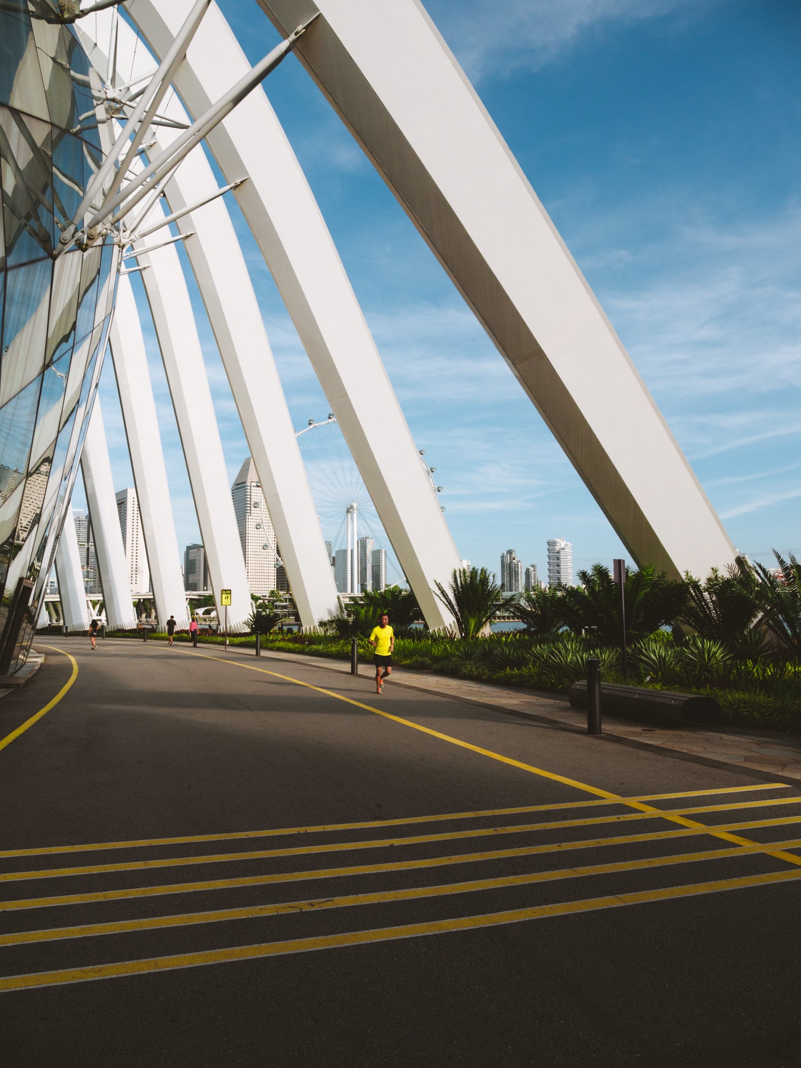 2 estrelas singapura-8.jpg