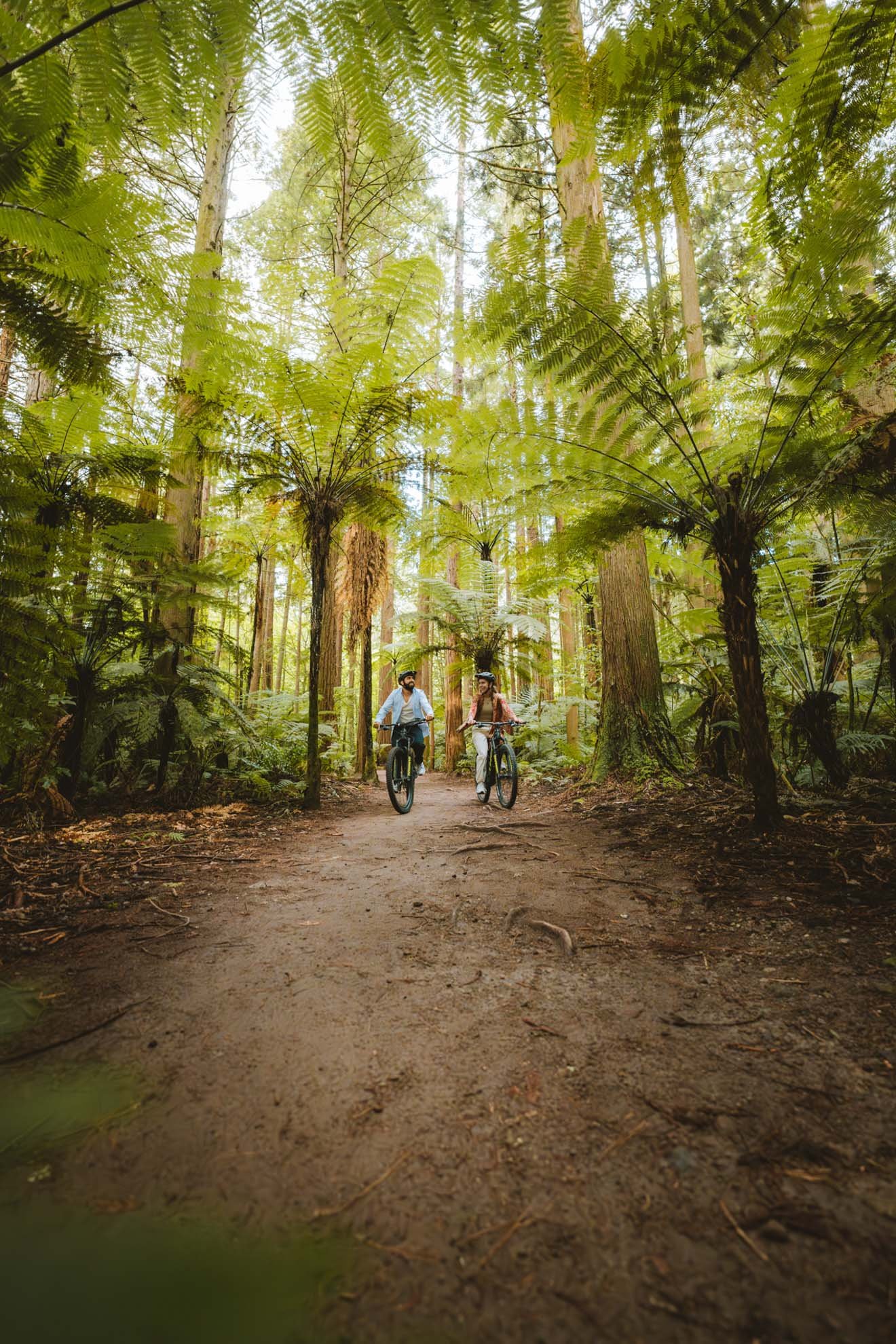 Two people mountain biking on a dirt trail through a lush, green forest with tall trees and big fern leaves overhead.