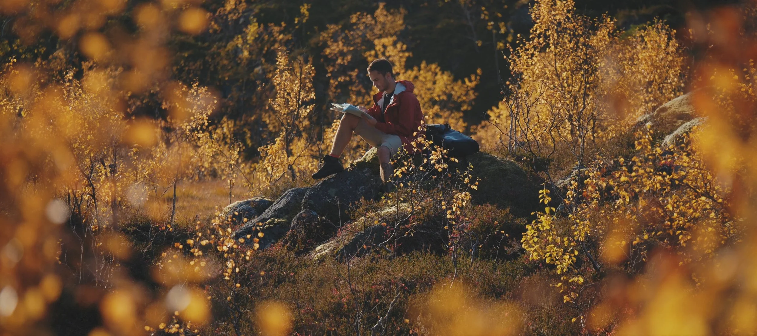 A person sitting on a large rock among autumn trees, reading a book or map, with a backpack beside them.