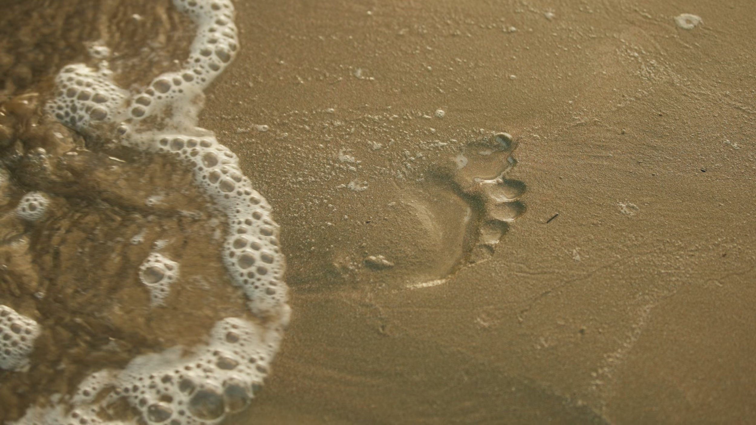 Footprint in wet sand on the beach with foam and seaweed nearby.