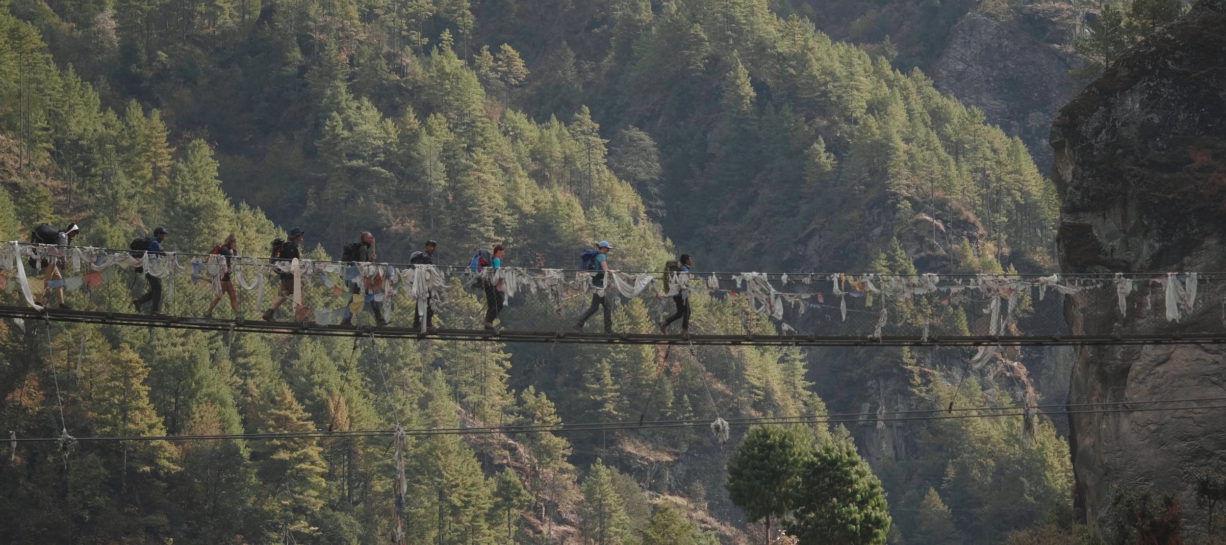 Group of people walking across a suspension bridge in a forested mountainous area.